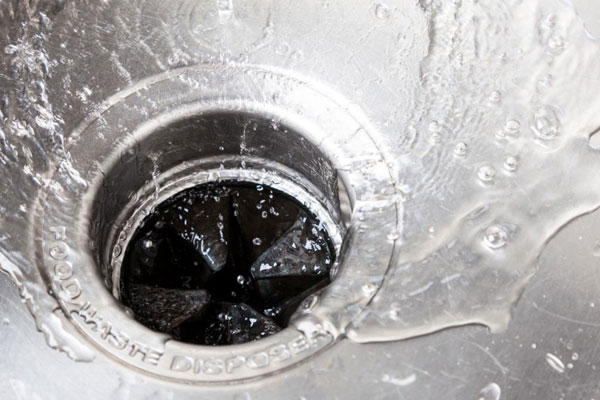 DIY Natural Garbage Disposal Cleaner